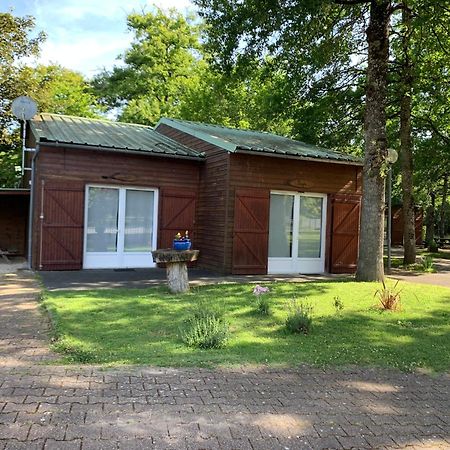 Chalets Mouliere Evasion Montamisé Exteriör bild