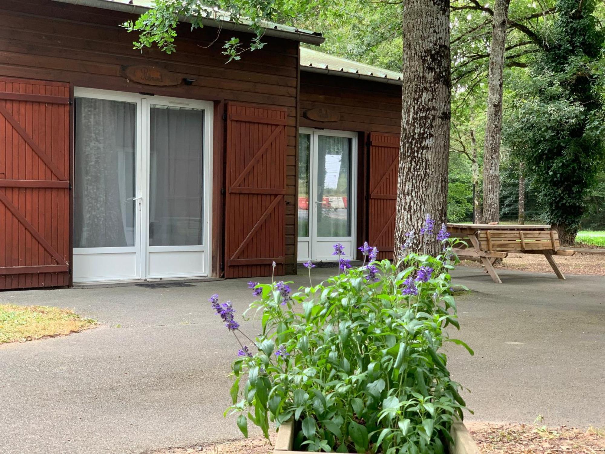 Chalets Mouliere Evasion Montamisé Exteriör bild