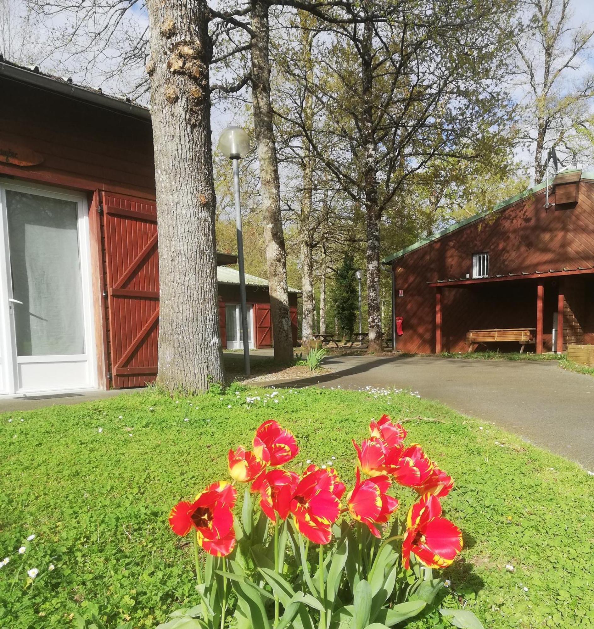 Chalets Mouliere Evasion Montamisé Exteriör bild